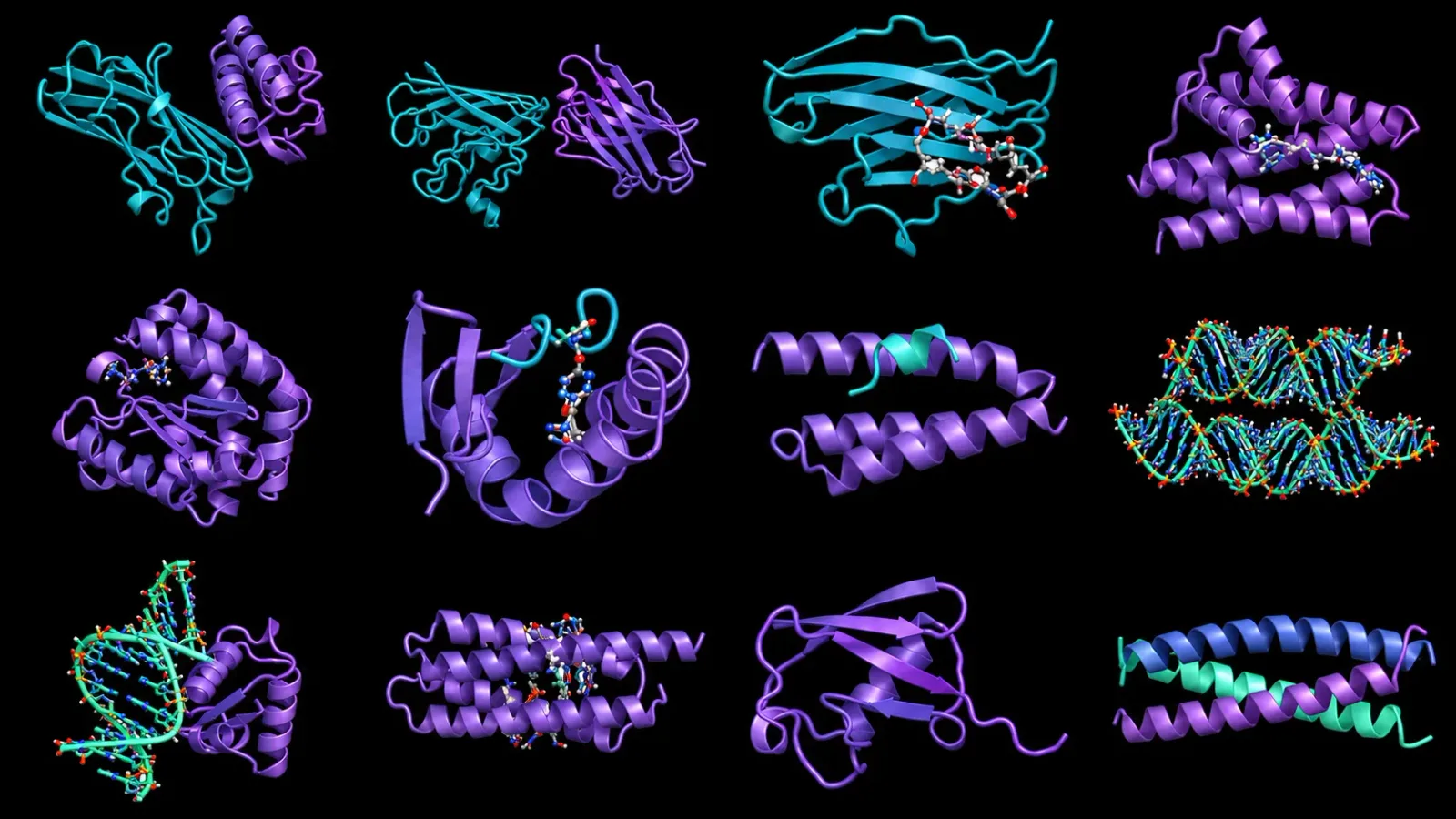 Nvidia releases the RFD4-Proteina AI model for protein design — image from NVIDIA